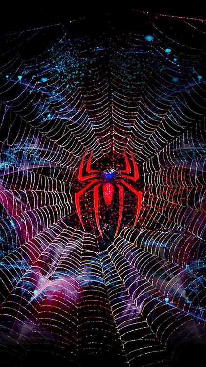 Spider Man Spider Man hd background
