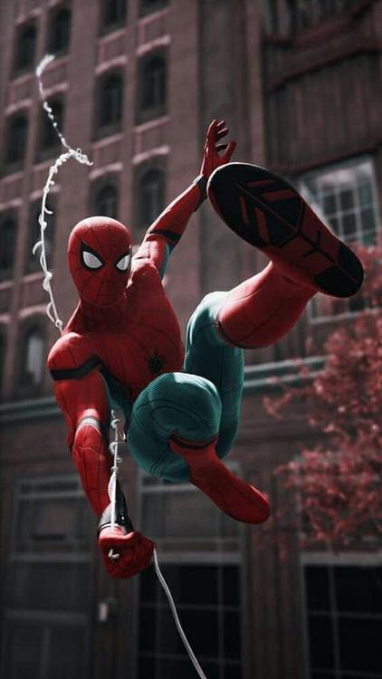 Spider Man Spider Man hd background