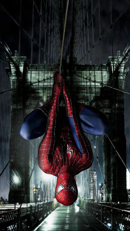 Spider Man Spider Man hd wallpapers