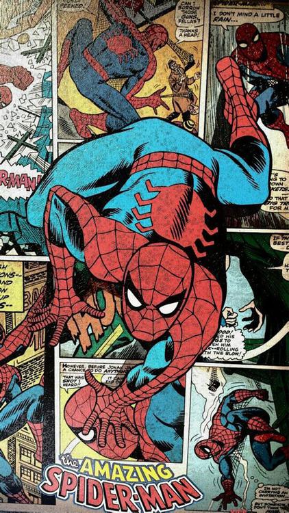 Spider Man Spidex hd background