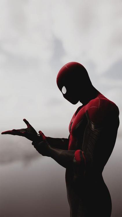 Spider Man Spidex hd background